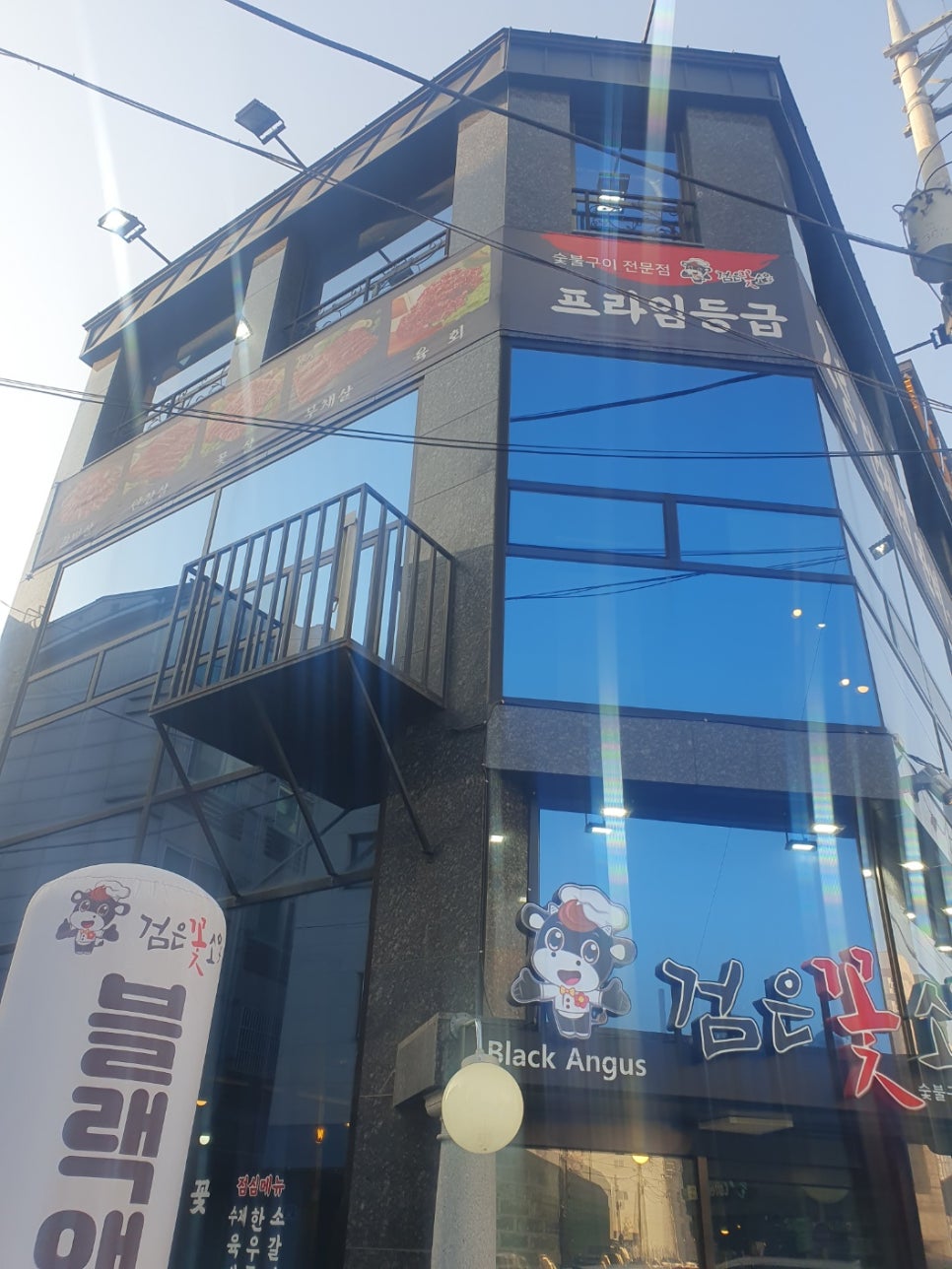 검은꽃소 이미지