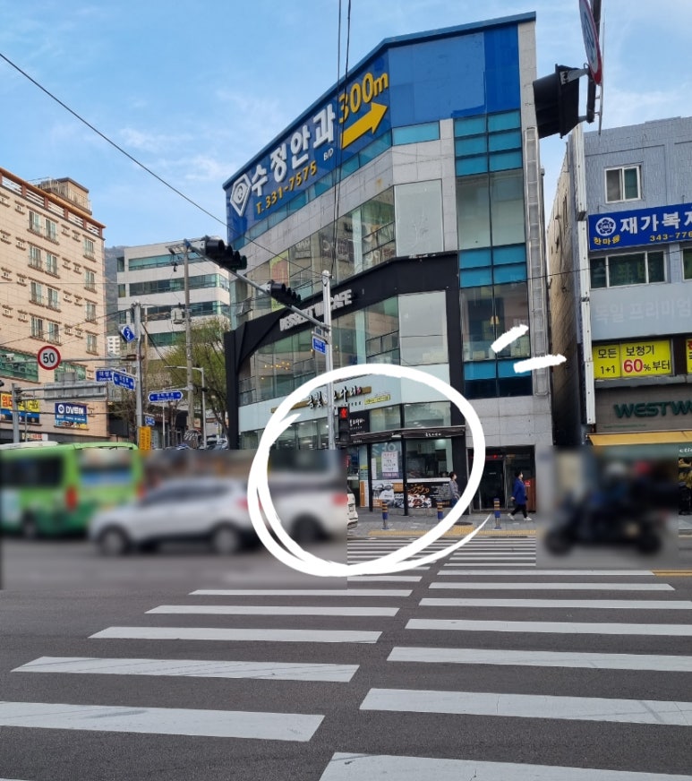 금빛코다리 이미지