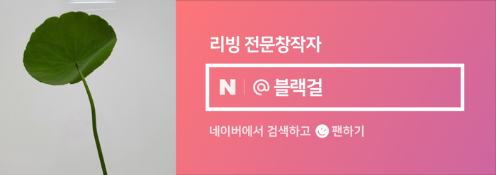 심다(simda) 이미지