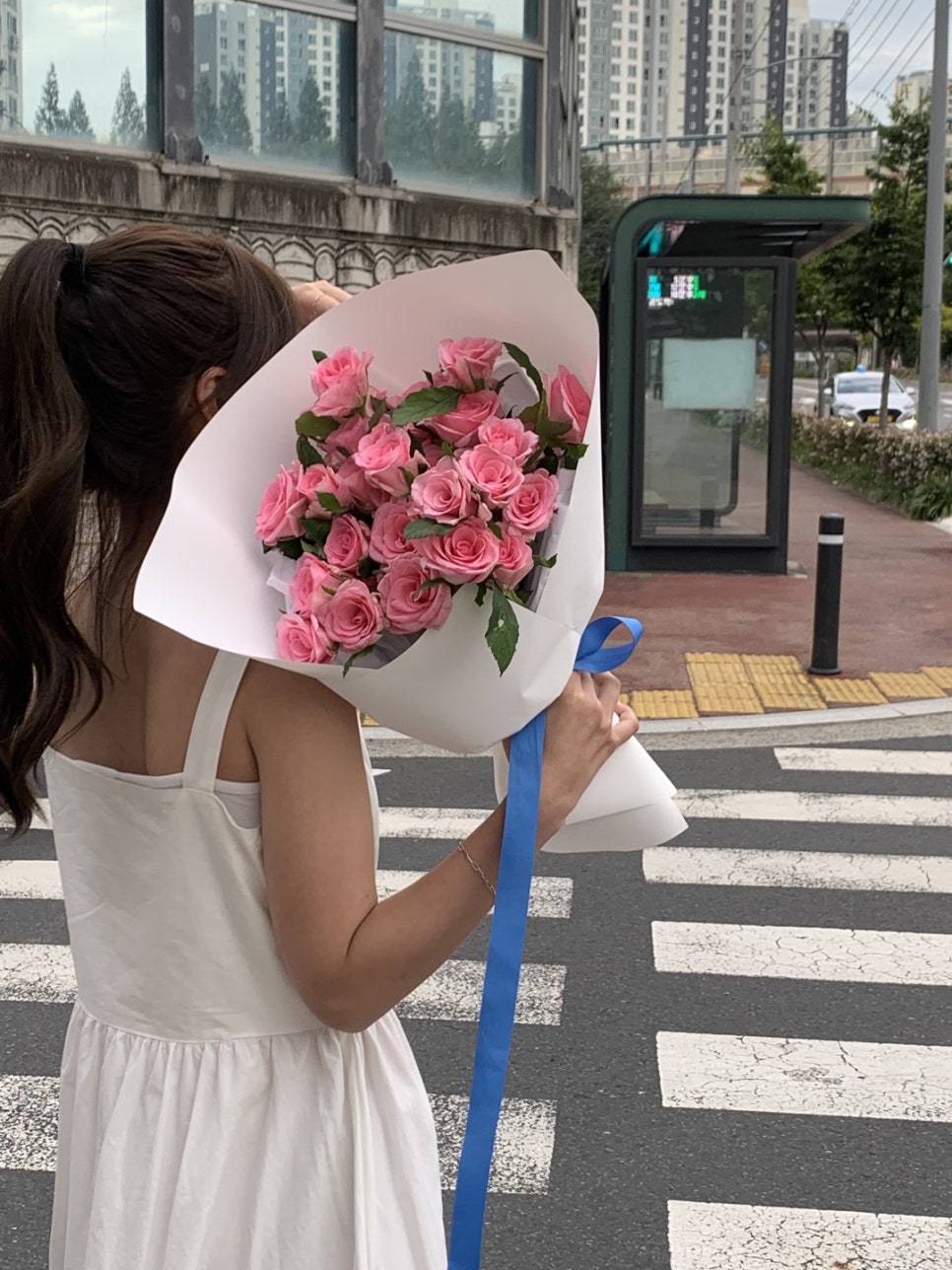 하이마이데이 이미지