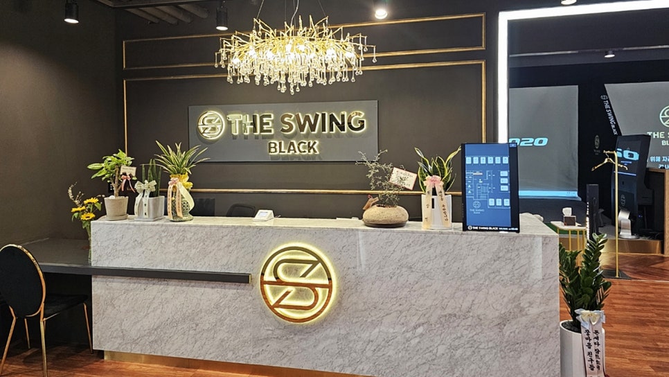 더스윙블랙동탄2 이미지