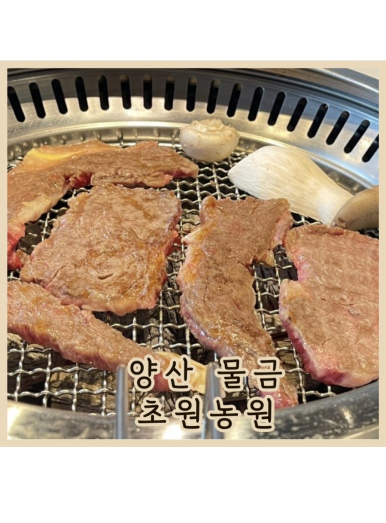 초원한우식육식당 이미지