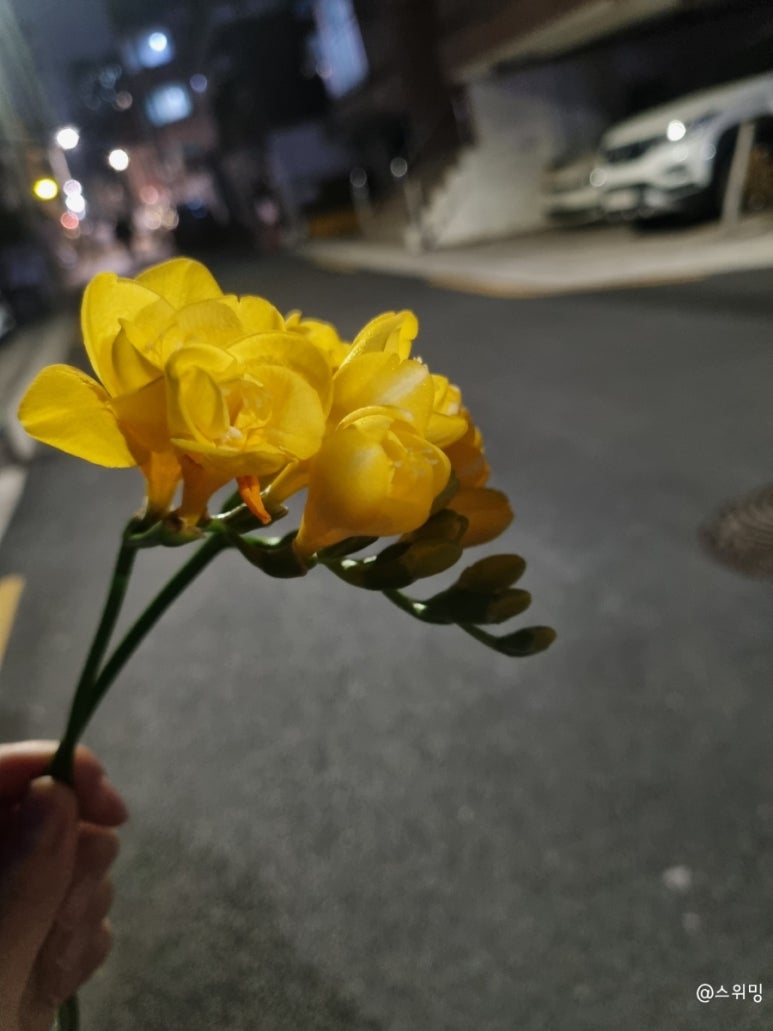 염창역 이번지 이미지