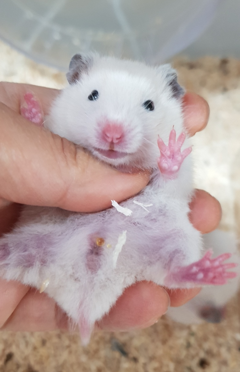 (주)모프 이미지
