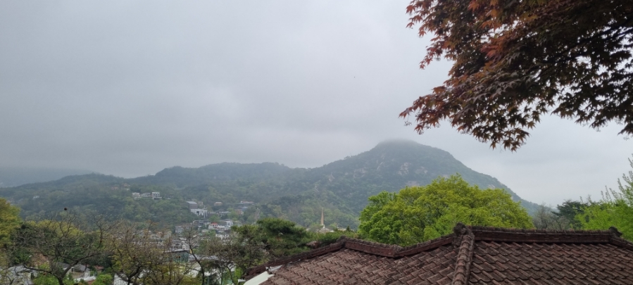 자하 키친 이미지