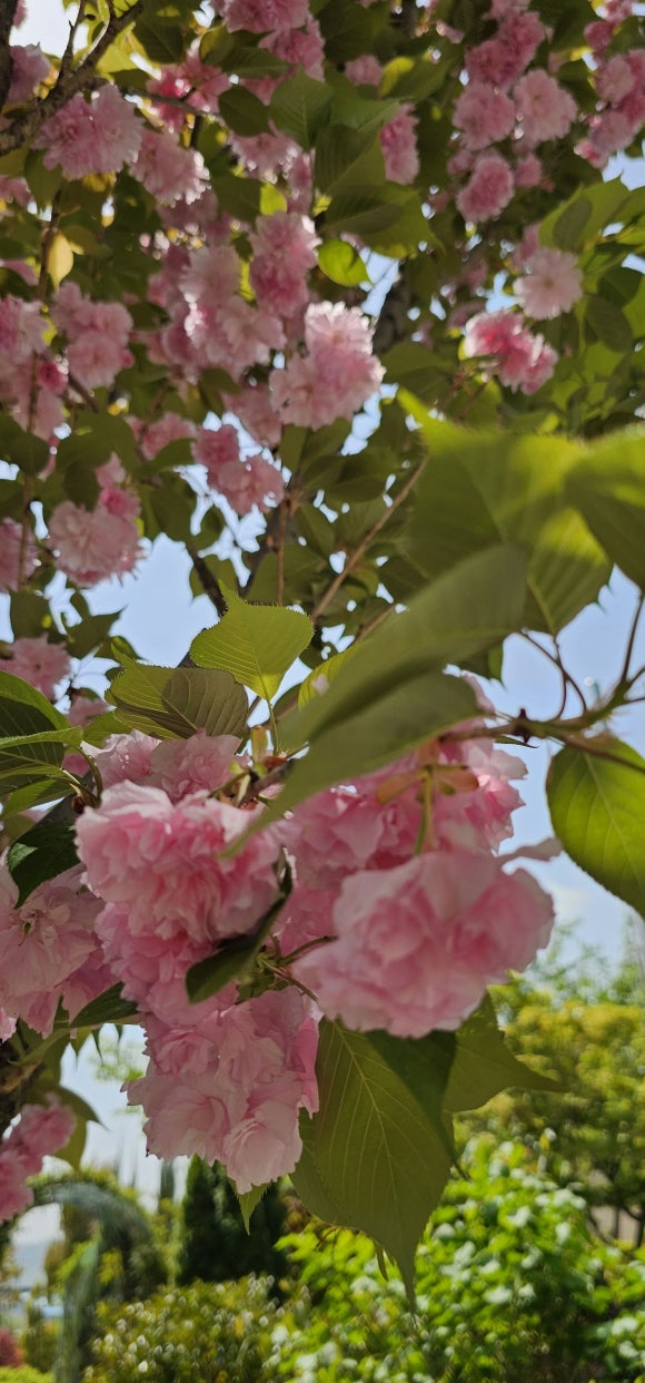 (주)복산나이스 이미지
