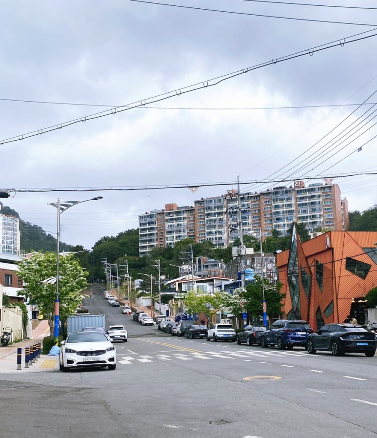 수야대공원짬뽕 이미지