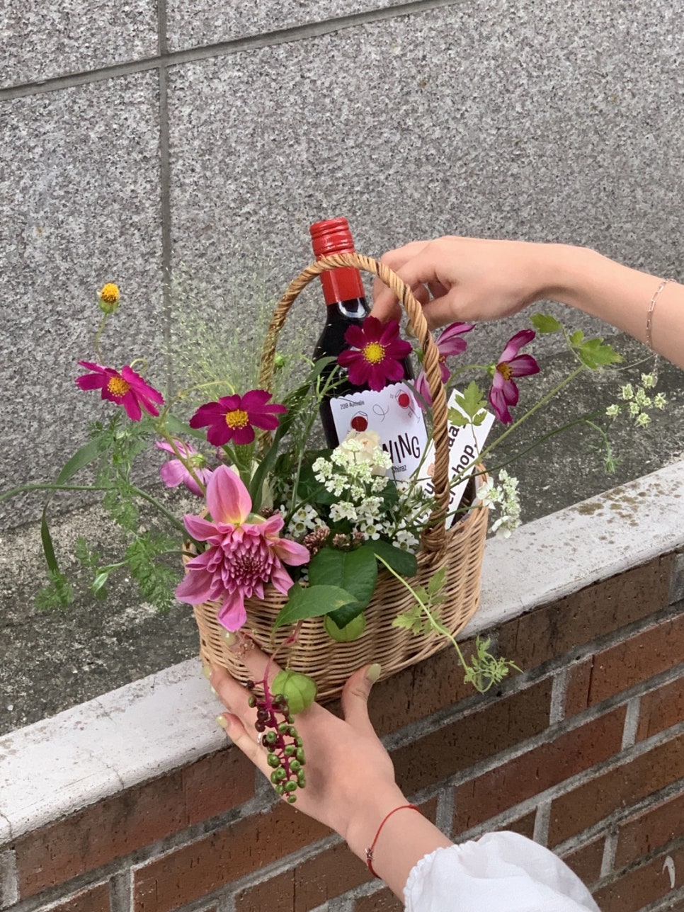 하이마이데이 이미지