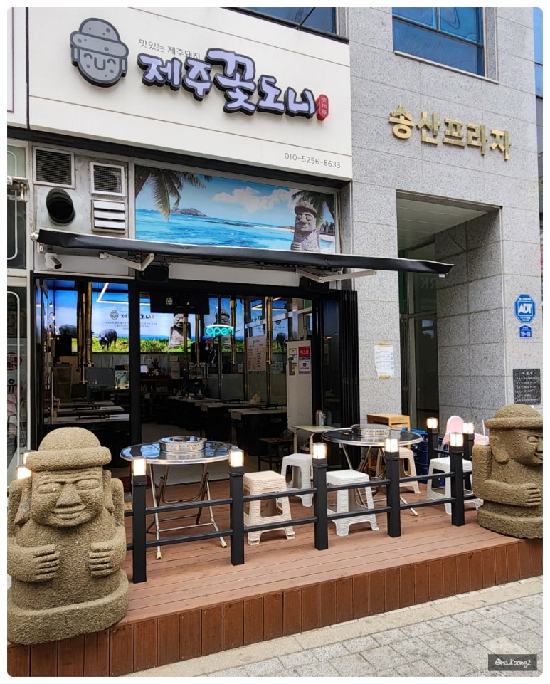 제주꽃도니 이미지