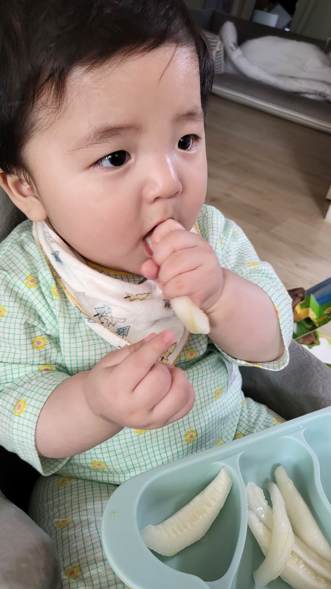 푸룻한세상 이미지