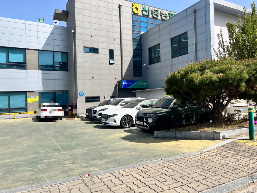 달보드레13 이미지