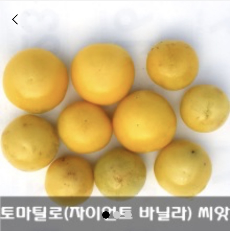 토마틸로 이미지