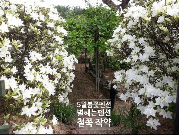 별빛정원펜션 이미지