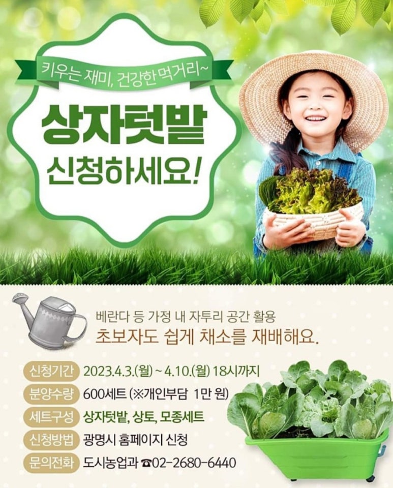 소담상자 이미지