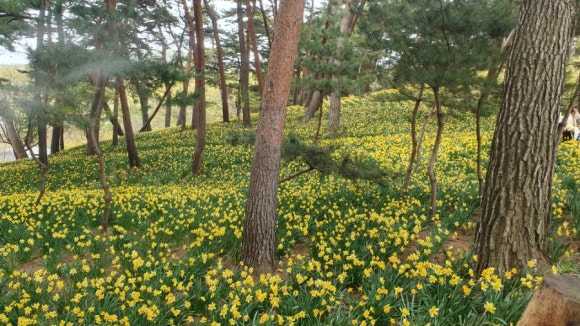 유가방 이미지