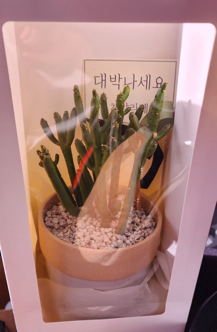 리네일샵 이미지