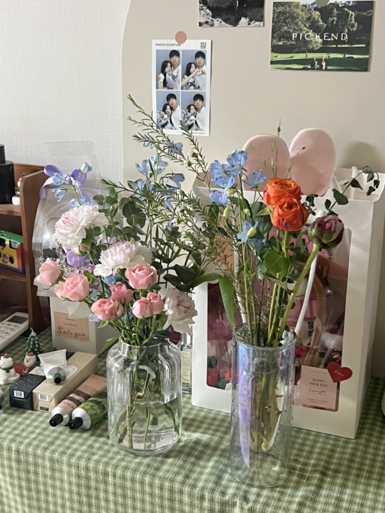 라빈플레르 이미지