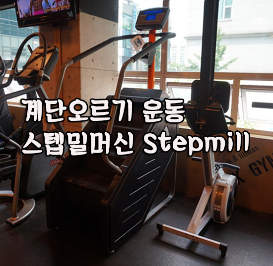 플렉스밀 이미지