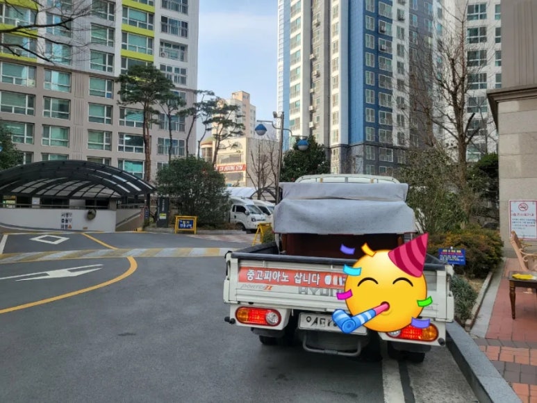 보라피아노 이미지