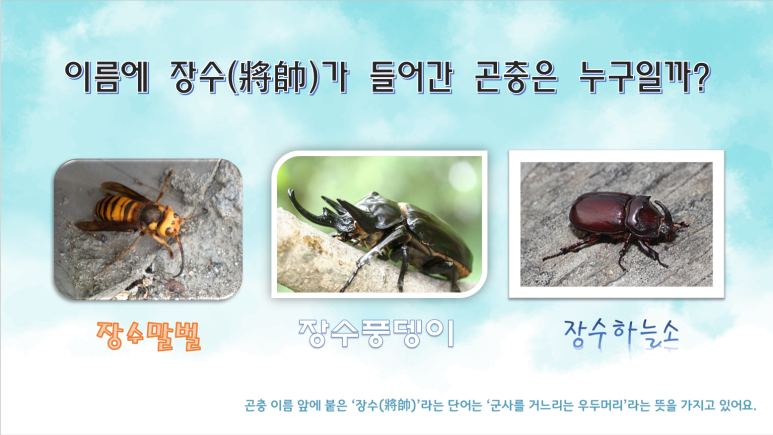 (주)키즈팡팡 이미지