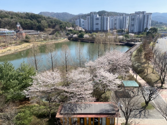 제우스당구클럽 이미지