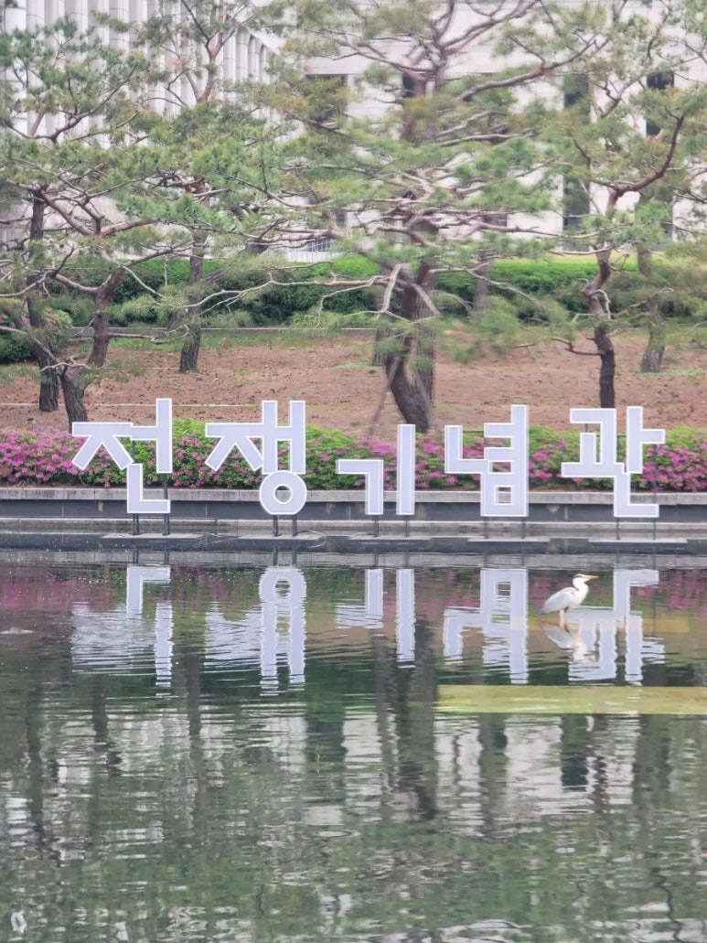 용산양다리 이미지