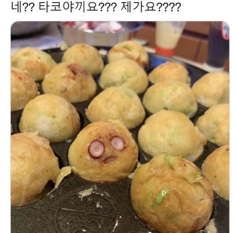 규니왕타코 이미지