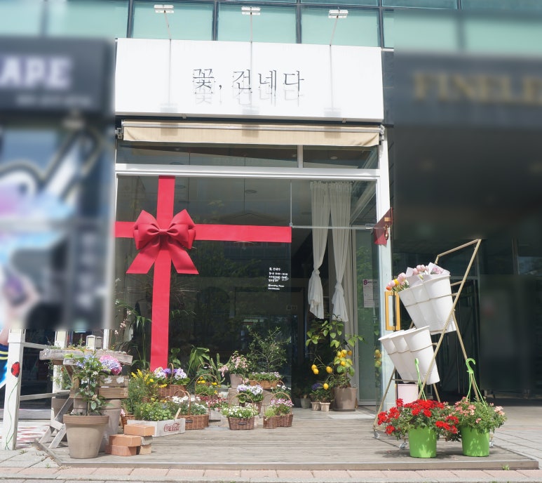 꽃;건네다 이미지