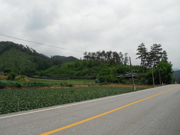 상방림교(상) 이미지