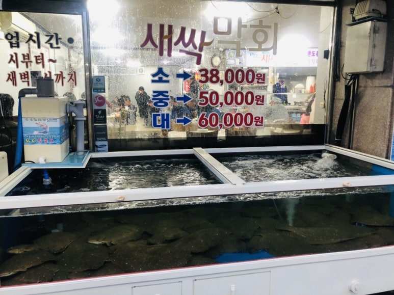 백김치새싹막회 이미지