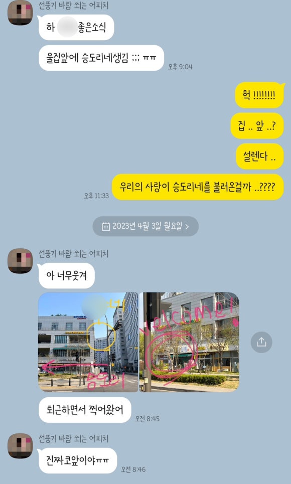 승도리네곱도리탕마곡 이미지