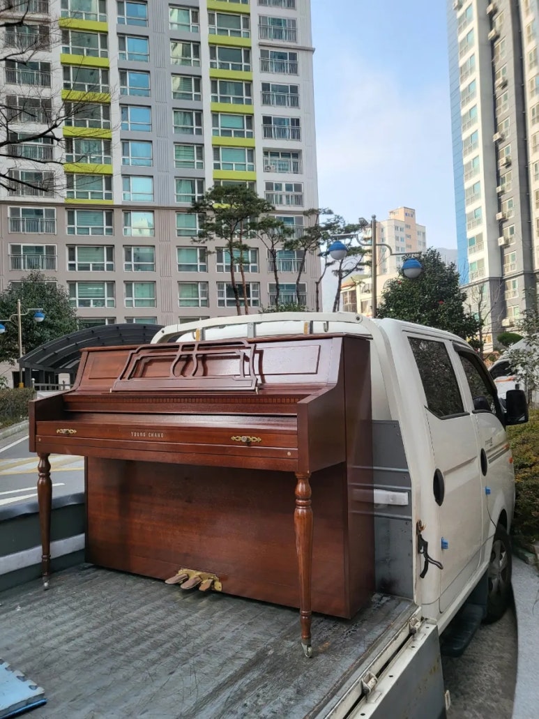 보라피아노 이미지