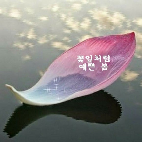 카페이플 이미지