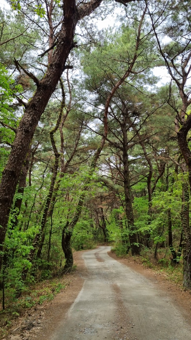 도담행복마을 이미지