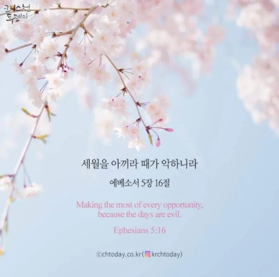 오늘제주 이미지