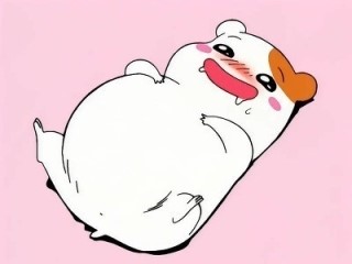 피자스쿨총신대점 이미지