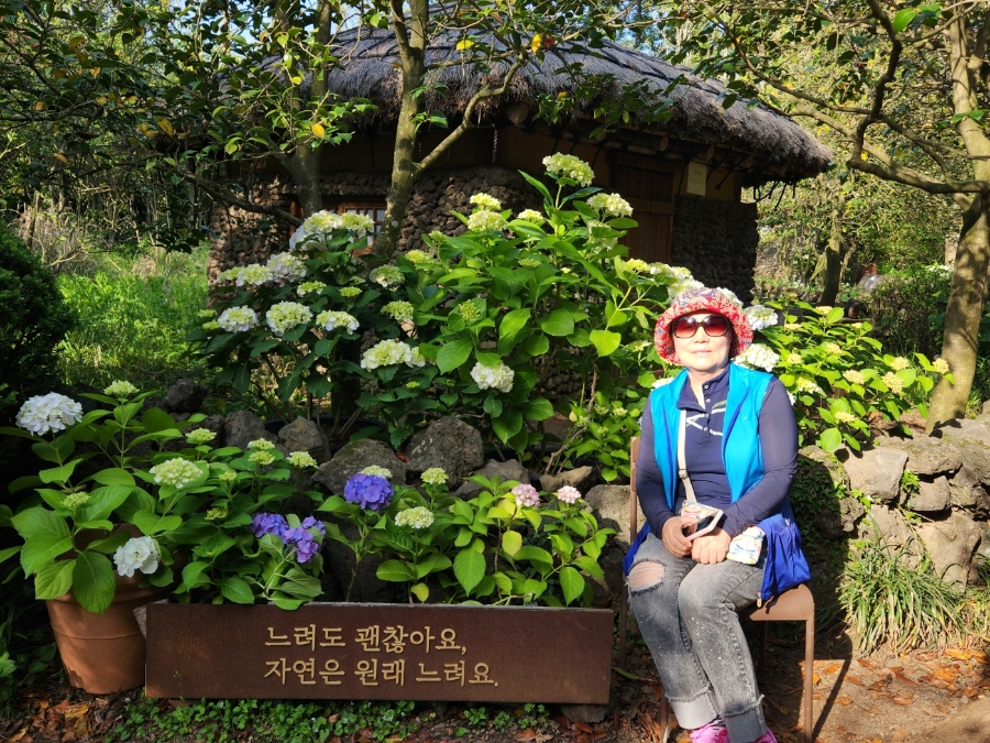 제주렌트로 이미지