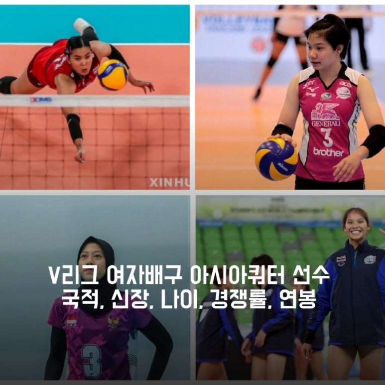 V리그 여자배구 아시아쿼터 선수 국적, 신장, 나이, 연봉, 포지션 [폰푼, 시통, 퍼티위, 쑥솟, 필립스, 요쿠, 토코쿠 ...