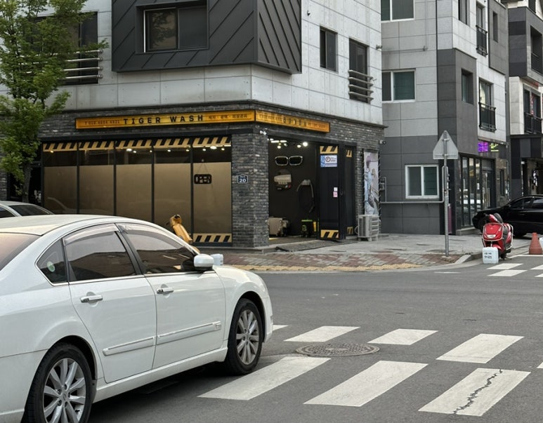 타이거워시 이미지
