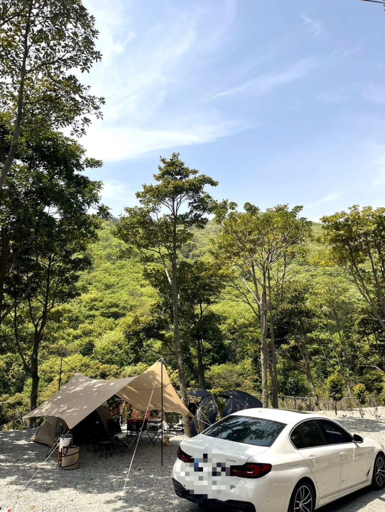 진도카멜리아힐즈오토캠핑장 이미지