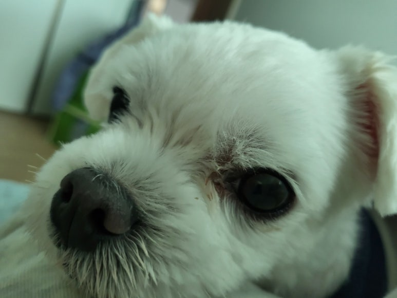 일계양득 이미지
