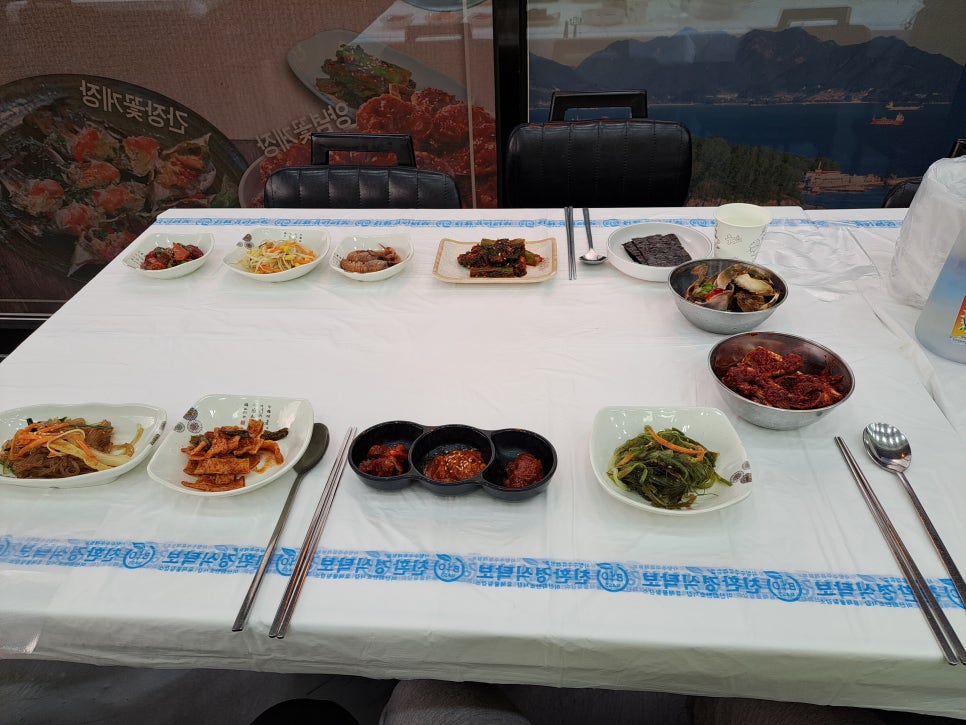 거북이 몰 이미지