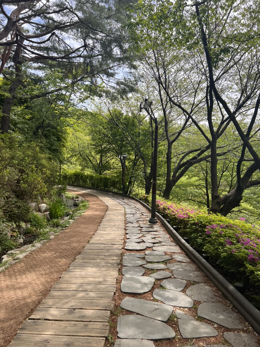 와라쉼터 이미지