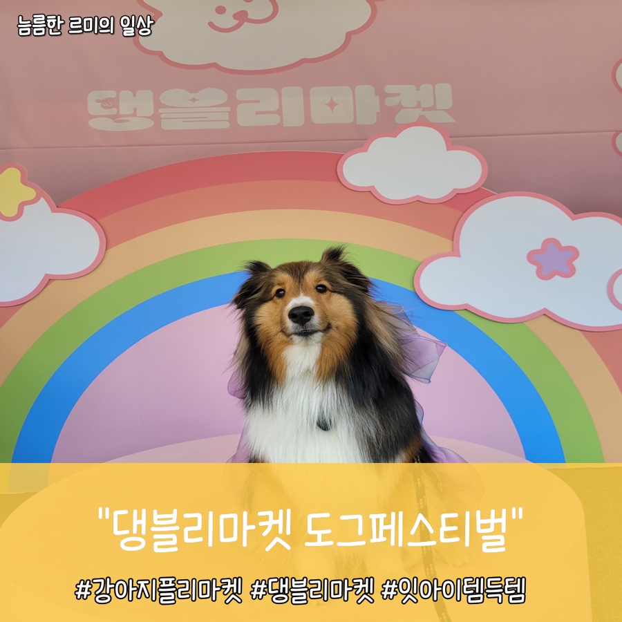 티에이치엠 이미지