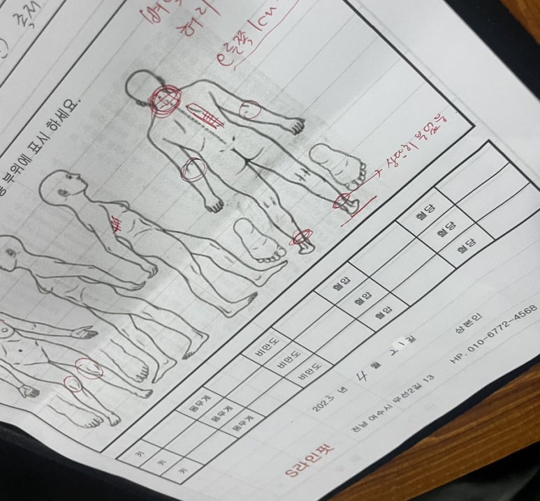 에스라인.핏 이미지