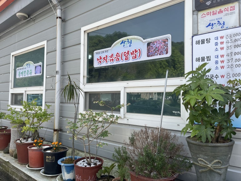 산청뽕잎해물칼국수 이미지