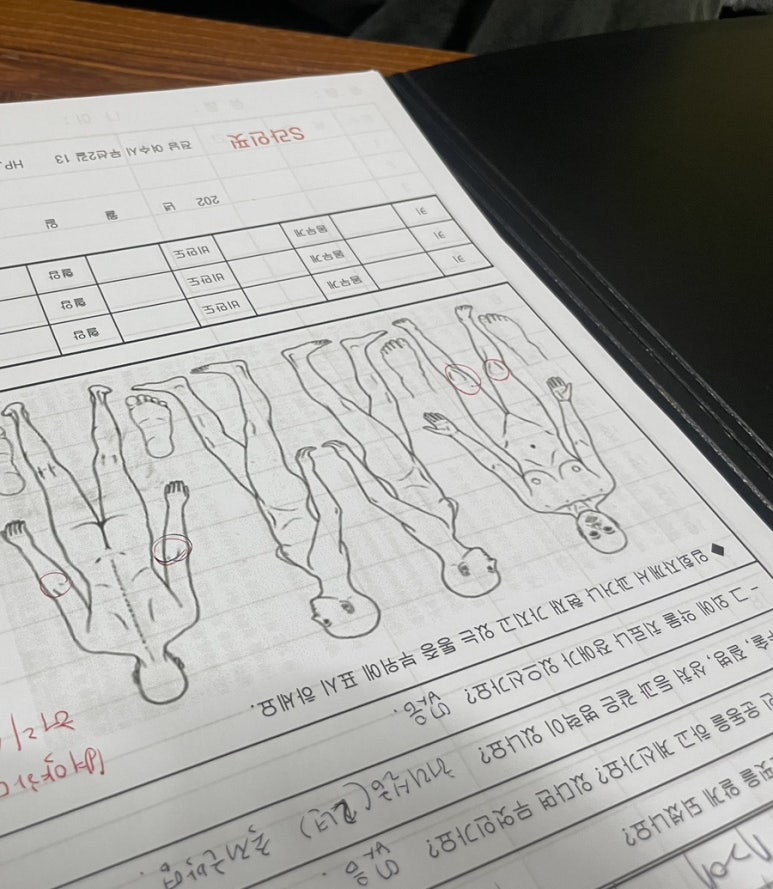 에스라인.핏 이미지