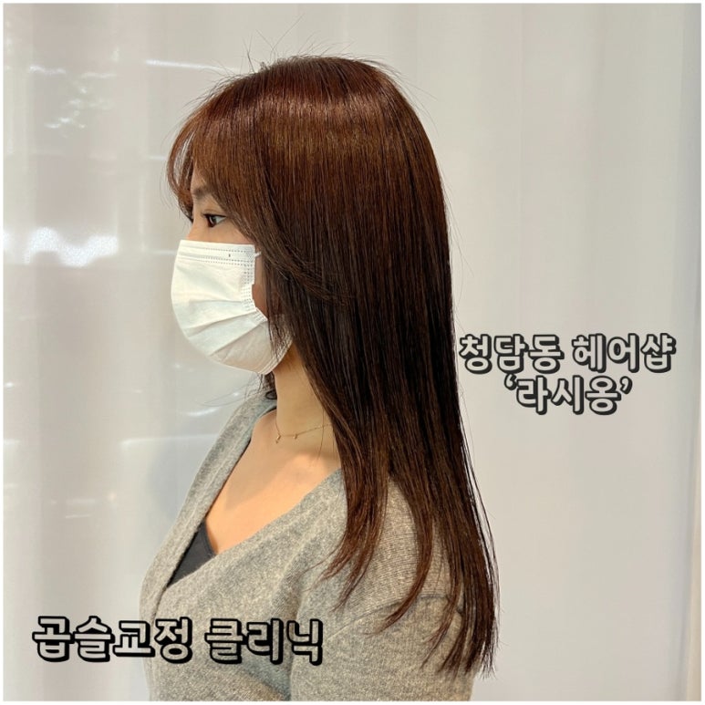 라시옹 이미지
