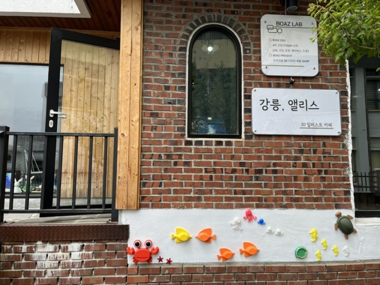 강릉;앨리스 이미지