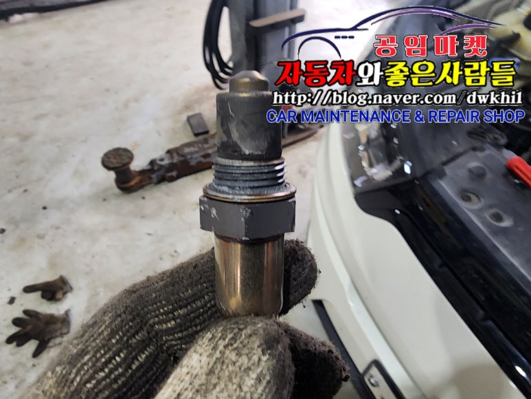 쌍용자동차남양주서비스프라자 이미지